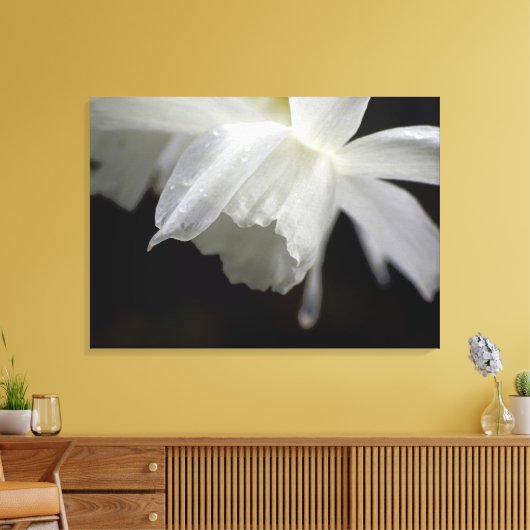 Witte Daffodils Bloemen Fotoprint Canvas Afdruk (Insitu (Woonkamer))