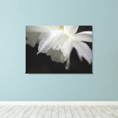 Witte Daffodils Bloemen Fotoprint Canvas Afdruk (Insitu (Houten vloer))