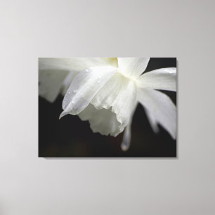 Witte Daffodils Bloemen Fotoprint Canvas Afdruk