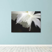 Witte Daffodils Bloemen Fotoprint Canvas Afdruk (Insitu (Houten vloer))