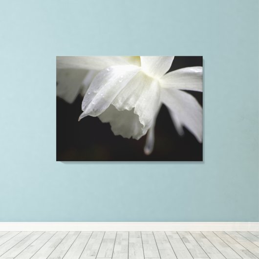 Witte Daffodils Bloemen Fotoprint Canvas Afdruk (Insitu (Houten vloer))
