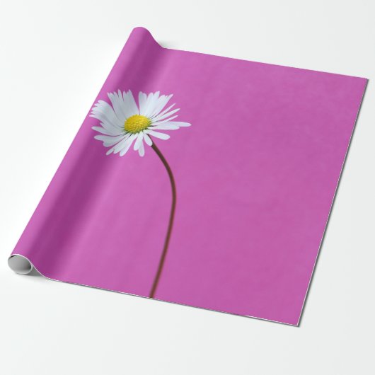WITTE DAG OP PINKACHTERGROND CADEAUPAPIER (Uitgerold)