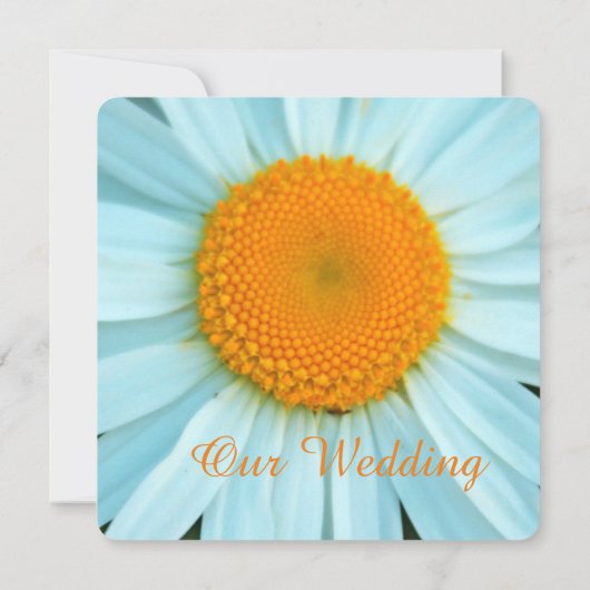 Witte dagbloem trouwuitnodigingen. kaart (Achterkant)