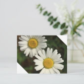 Witte dagzomerbloemen briefkaart (Staand voorkant)