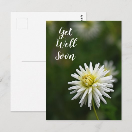 Witte Dahlia Bloem Beterschap Briefkaart (Voorkant / Achterkant)