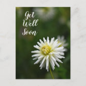 Witte Dahlia Bloem Beterschap Briefkaart (Voorkant)