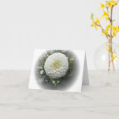 Witte Dahlia Bloem Kaart (Gele Bloem)