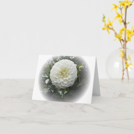 Witte Dahlia Bloem Kaart (Gele Bloem)