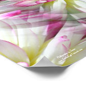 Witte Dahlia bloemblaadjes Abstract Poster (Hoek)