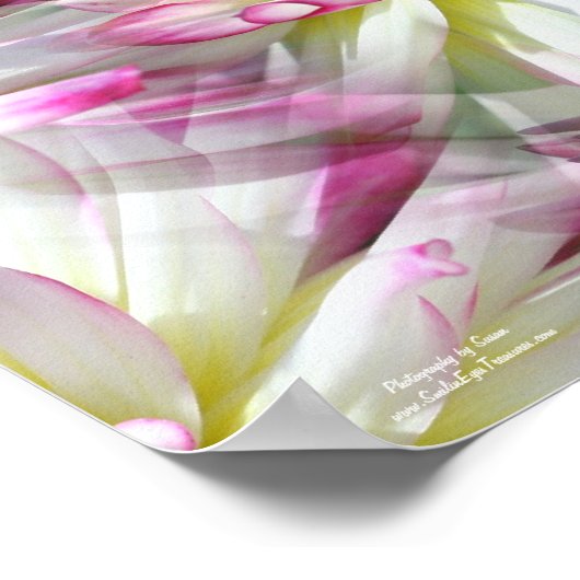 Witte Dahlia bloemblaadjes Abstract Poster (Hoek)