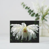 Witte Dahlia Briefkaart (Staand voorkant)