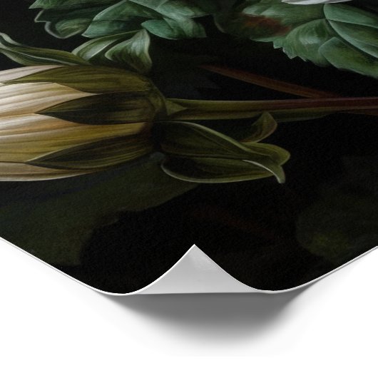 Witte Dahlia Flowers Art Print Poster (Hoek)
