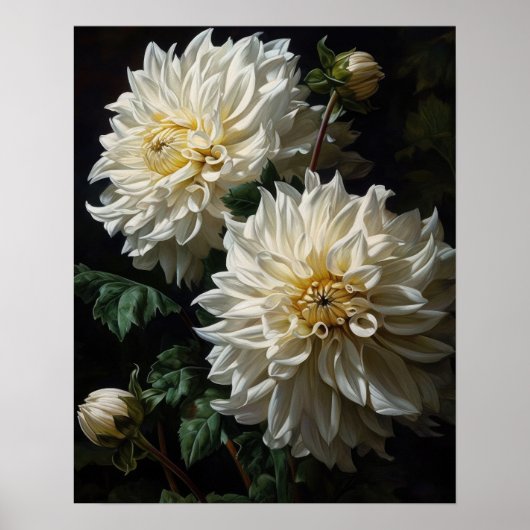 Witte Dahlia Flowers Art Print Poster (Voorkant)