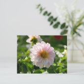 Witte dahlia in de tuin foto briefkaart (Staand voorkant)