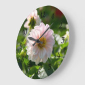 Witte dahlia in de tuin foto grote klok (Hoek)