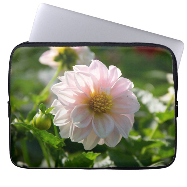 Witte dahlia in de tuin foto laptop sleeve (Voorkant)