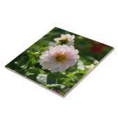 Witte dahlia in de tuin foto tegeltje (Zijkant)