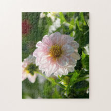 Witte dahlia in de tuinfoto