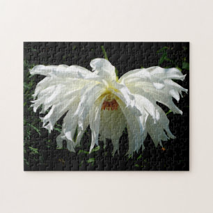 Witte Dahlia Legpuzzel