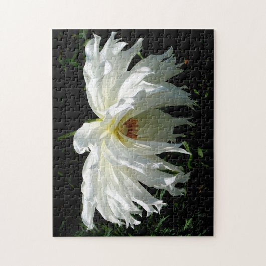 Witte Dahlia Legpuzzel (Verticaal)