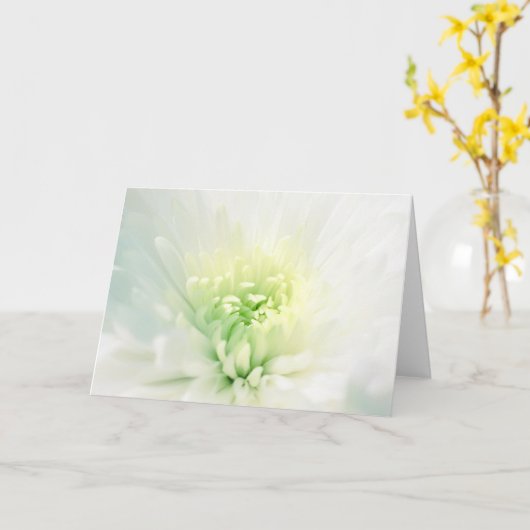 Witte Dahlia Met Groen Hart Voor Iedere Gelegenhei Kaart (Gele Bloem)