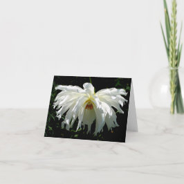 Witte Dahlia Notitiekaartje