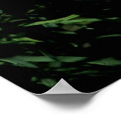 Witte Dahlia Poster (Hoek)