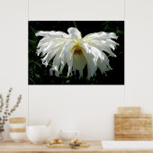 Witte Dahlia Poster (Keuken)