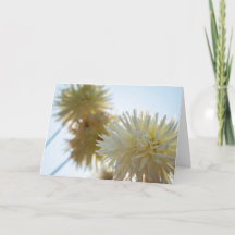 Witte dahlia Prettig Hanukkah