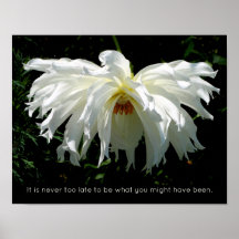 Witte Dahlia wekken, inspirerend quote