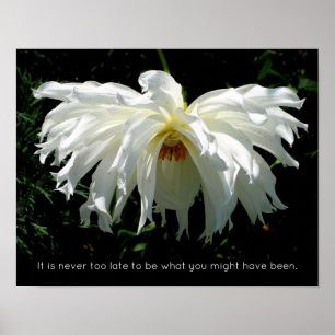 Witte Dahlia wekken, inspirerend quote Poster