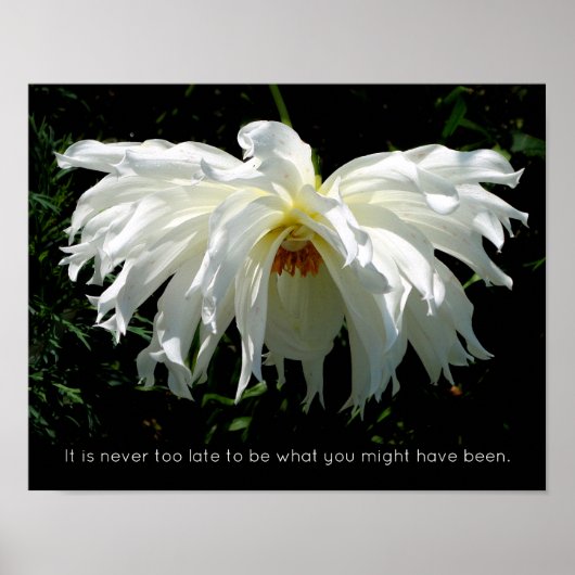 Witte Dahlia wekken, inspirerend quote Poster (Voorkant)