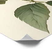 Witte Dahlias Bloemenkunst Print Poster (Hoek)