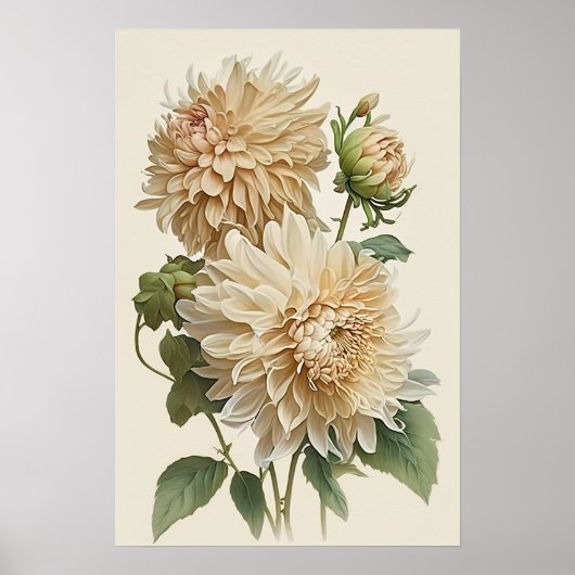 Witte Dahlias Bloemenkunst Print Poster (Voorkant)