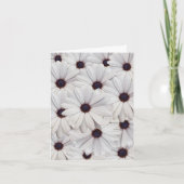 Witte Daisies Blank Note Kaart (Voorkant)
