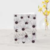 Witte Daisies Blank Note Kaart (Gele Bloem)