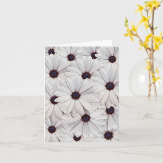Witte Daisies Blank Note Kaart (Gele Bloem)