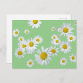 Witte Daisies Cust. Kleur DIY Briefkaart (Voorkant / Achterkant)