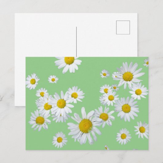 Witte Daisies Cust. Kleur DIY Briefkaart (Voorkant / Achterkant)