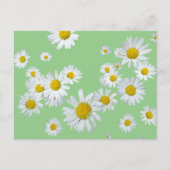 Witte Daisies Cust. Kleur DIY Briefkaart (Voorkant)
