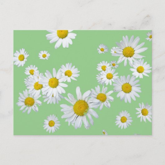 Witte Daisies Cust. Kleur DIY Briefkaart (Voorkant)