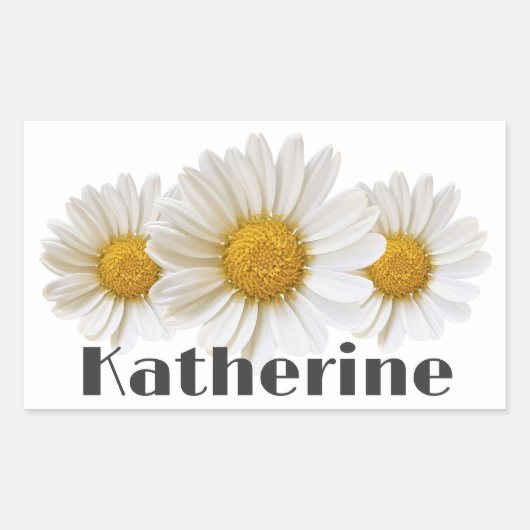 Witte Daisies Custom Naam Floral Rechthoekige Sticker (Voorkant)
