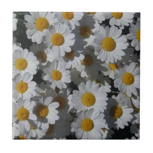 Witte Daisies Keramische Tegel Tegeltje