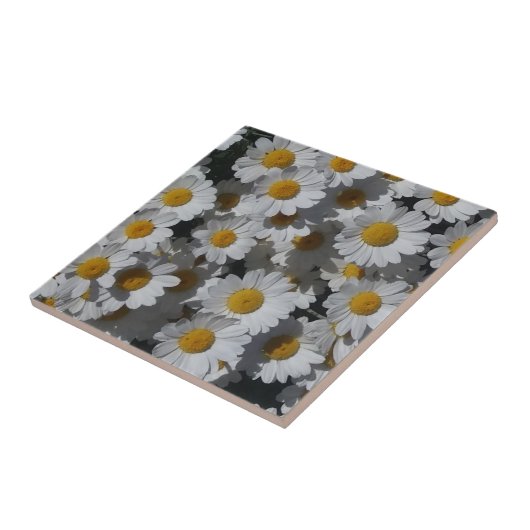 Witte Daisies Keramische Tegel Tegeltje (Zijkant)