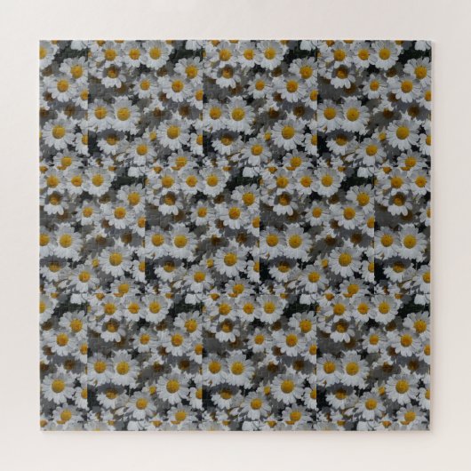 Witte Daisies Legpuzzel (Horizontaal)