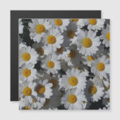 Witte Daisies Magnetische Kaart (Voorkant / Achterkant)