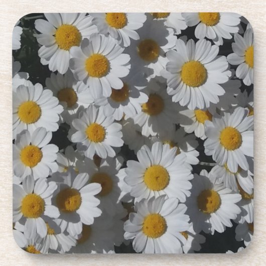 Witte Daisies Plastic Onderzetter (Voorkant)
