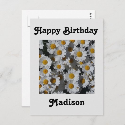 Witte Daisies Verjaardag Briefkaart (Voorkant / Achterkant)