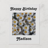 Witte Daisies Verjaardag Briefkaart (Voorkant)