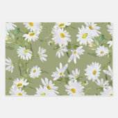 Witte Daisy Baby shower Pastel groene tuin Inpakpapier Vel (Voorkant 2)